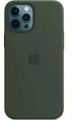 Чехол iPhone 12 Pro Max Silicon Case MagSafe Cyprus Green