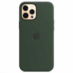 apple-iphone-12-pro-max-silicone-magsafe-green_2
