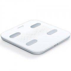 Весы