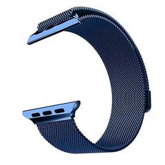 assd_apple_watch_series_2_milanese_loop_42_mm_blue_94356_608333296482