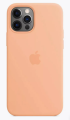 Чехол iPhone 12/12pro Silicon Case Cantaloupe