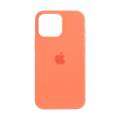 Чехол iPhone 16 Pro Max Silicone Case MagSafe Tangerine